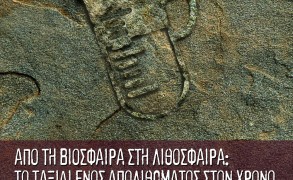 Εκδήλωση για τα απολιθώματα, ανοικτή για το κοινό, από το Café Scientifique