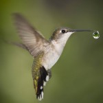 “Εγώ κάνω αυτό που πρέπει να κάνω” (Διδακτική ιστορία)