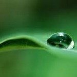 Αν θέλεις να είσαι καλός, ξεκίνα από την πεποίθηση ότι είσαι κακός