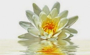 Ψυχοσυναισθηματικό ΤΕΣΤ της Louise Hay