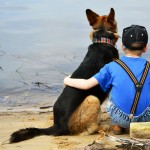 Η αξία της φιλίας