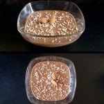 Κρέμα σοκολάτα με 2 υλικά! (Vegan)