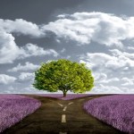 Η Δύναμη της Επιλογής!