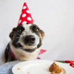 Δεν σταματάς να γελάς …