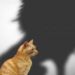 Η γενναιότητα διδάσκεται-Η αφοβία κατακτιέται