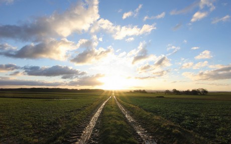 field-road-to-the-sun