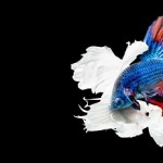 Πώς να ανεβάσεις τη συναισθηματική σου νοημοσύνη