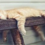 Το μυαλό χρειάζεται και αυτό ξεκούραση